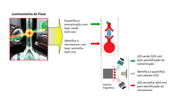 Painel luminometria de fluxo